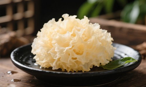 权威口腔冲洗器平台,分享专业口腔冲洗器价格多少知识_口腔冲洗器价格网