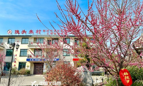 口腔冲洗器价格多少-权威口腔冲洗器平台,分享专业口腔冲洗器价格多少知识_口腔冲洗器价格网