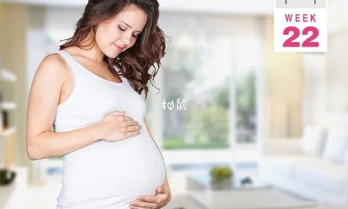 口腔冲洗器什么样的好-权威口腔冲洗器平台,分享专业口腔冲洗器价格多少知识_口腔冲洗器价格网